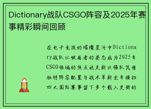 Dictionary战队CSGO阵容及2025年赛事精彩瞬间回顾