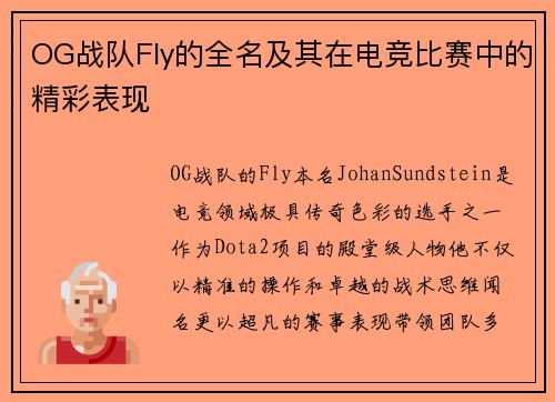 OG战队Fly的全名及其在电竞比赛中的精彩表现